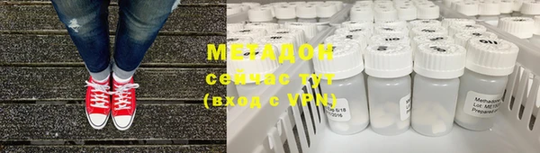 прущие грибы Бородино