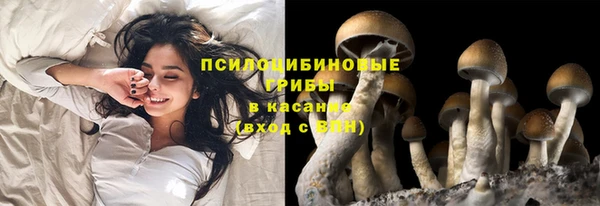 мефедрон Новозыбков
